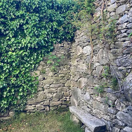 Prázdninový dům Le Chat Noir *