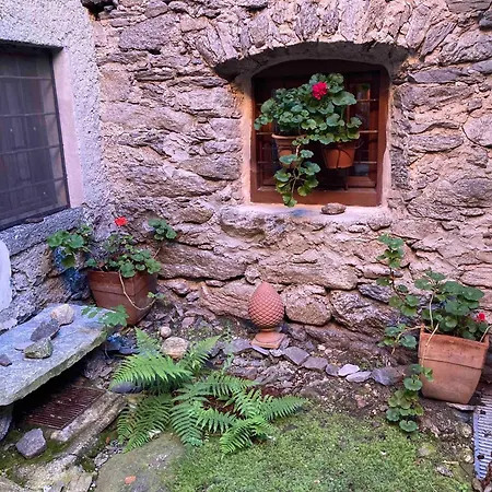 Le Chat Noir * Villette