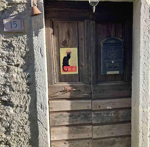Le Chat Noir *